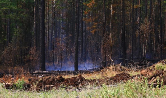 Два пожара на месте старой гари потушили в Приангарье