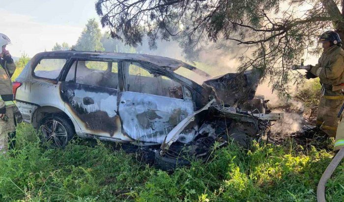 В Осинском районе водитель погиб, врезавшись в дерево