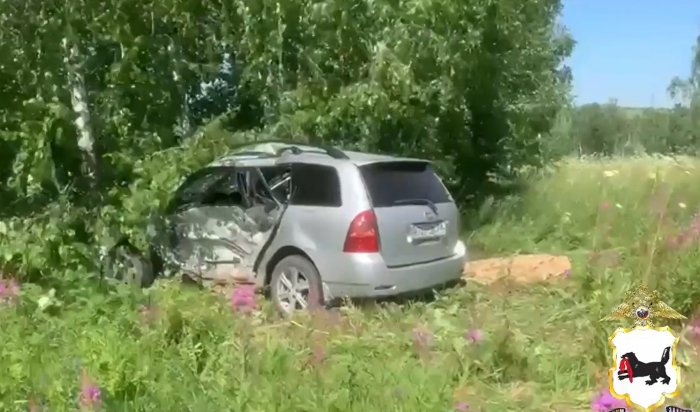 59-летняя пассажирка погибла в ДТП недалеко от Черемхово (Видео)