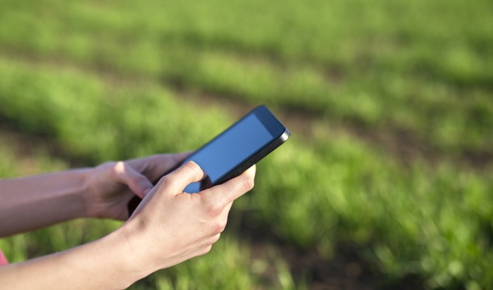 Пользователям рассказали, как в жару уберечь смартфон от перегревания