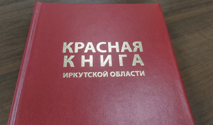 В Иркутской области начнут выявлять редкие и находящиеся под угрозой исчезновения растения и животные