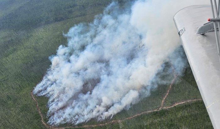 134 га леса горит в Иркутской области