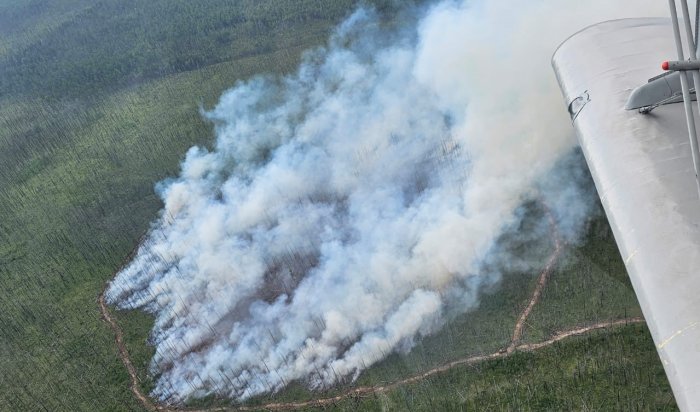 На утро 30 августа в Иркутской области действует два лесных пожара