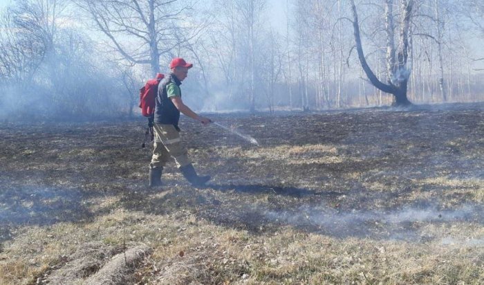 За прошедшие сутки в Приангарье ликвидировано два лесных пожара