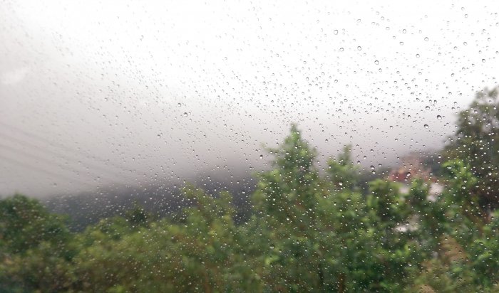 Дожди ожидаются 9 сентября в Иркутской области