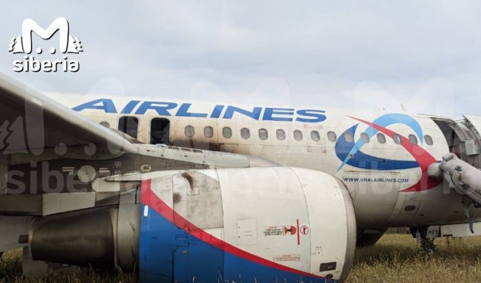 Летевший из Сочи в Омск самолет сел на грунт в Новосибирской области