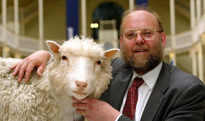 Умер ученый Иэн Уилмут, клонировавший овечку Долли