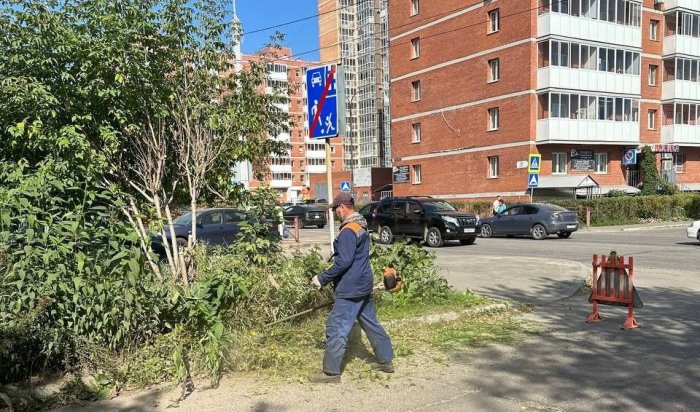 В Иркутске продолжают косить траву перед наступлением холодов