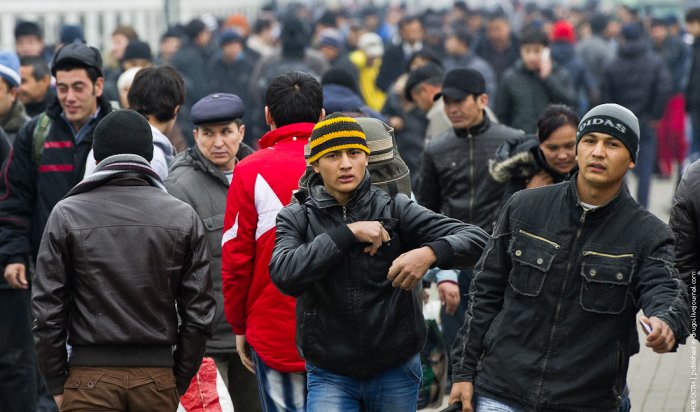 В Думу внесли законопроект о выдворении мигрантов из РФ за нарушение КоАП