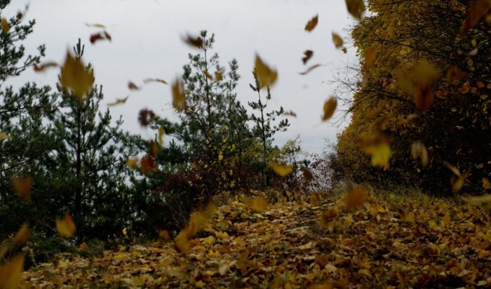 Усиление ветра прогнозируют на 12 октября в Приангарье