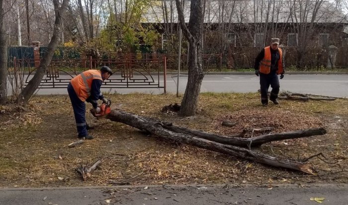 Весь день в Иркутске устраняли последствия сильного ветра