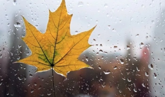 Ветренную и дождливую погоду передают на 16 октября в Приангарье