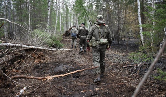 За нарушение правил пожарной безопасности в лесах Иркутской области в этом году 213 человек привлечено к административной ответственности