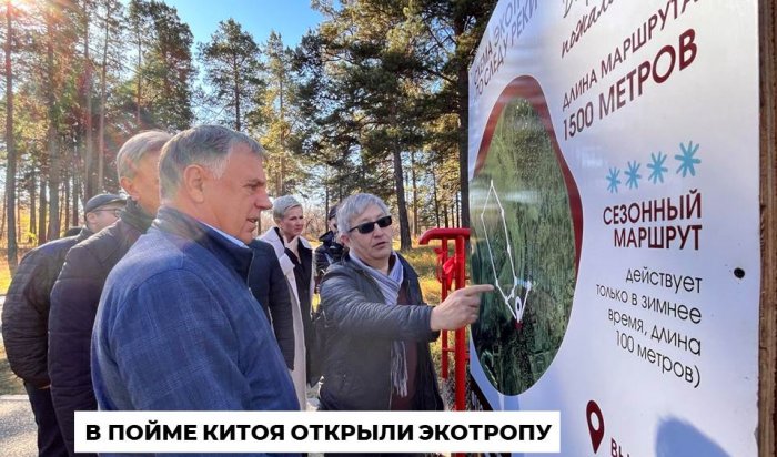 Экологическую тропу «По следу реки Китой» открыли в парке имени 10-летия Ангарска