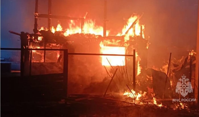 В садоводстве «Мичуринец» Иркутского района произошел крупный пожар