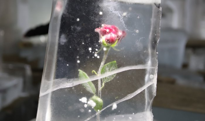 В Иркутске начали создавать скульптуры для проекта Ледовый город – «Счастье чистой воды»