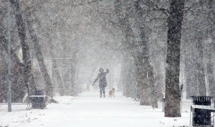 Снег и сильный ветер передают на 15 ноября в Иркутской области