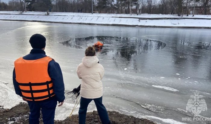 Днем 16 ноября в Иркутске пройдет открытый урок по спасению на льду