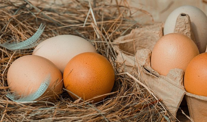 Иркутскстат: за октябрь куриные яйца подорожали почти на 30%
