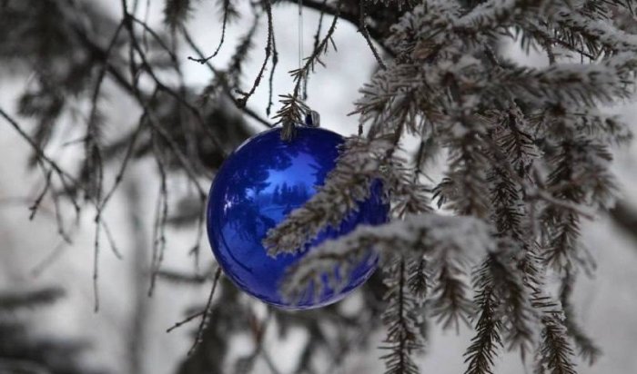 На бульваре Постышева в Иркутске установят главную новогоднюю ёлку Октябрьского округа