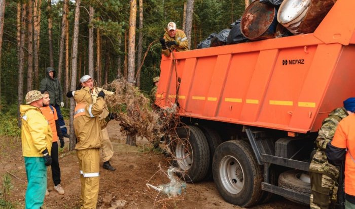 63 несанкционированные свалки ликвидировали в лесах Иркутской области ликвидированы
