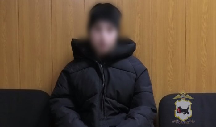 Полиция нашла автора фейка о нападении с ножом на девушку в Иркутске