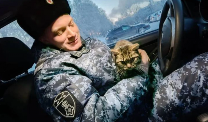 В Иркутске спасли замерзающую в -37 градусов кошку
