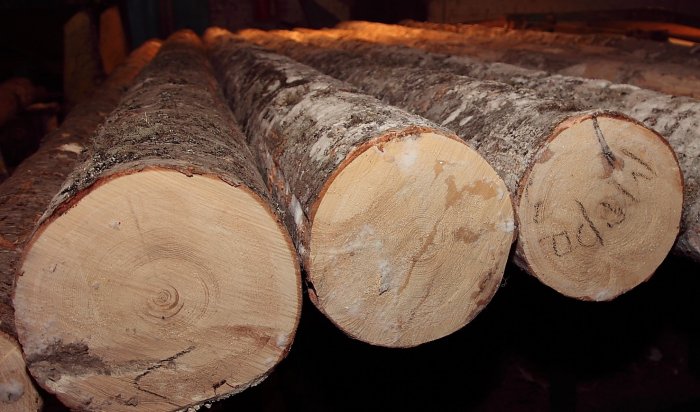 В Иркутской области стали реже незаконно рубить деревья