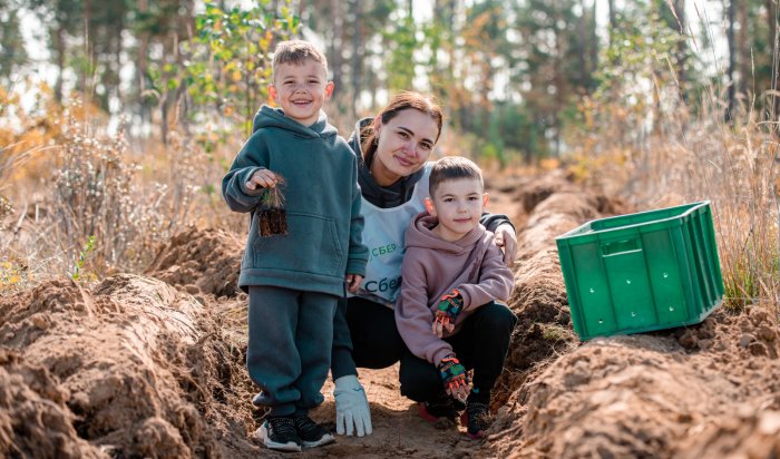 Более 100 тысяч деревьев посадили в Иркутской области в рамках экологических акций
