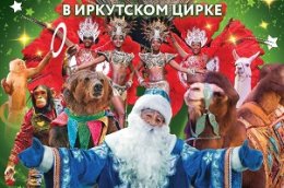 Елка в цирке