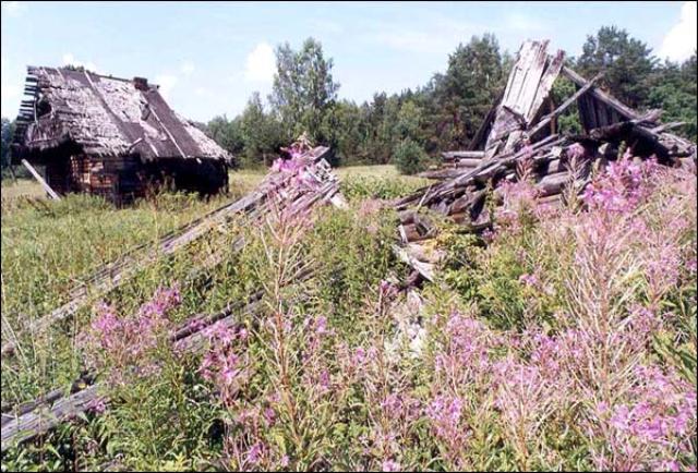 Село поняла. Заброшеные деревни в Иркутской области Иркутской район.. Вымершие деревни Усольского района Иркутской области. Заброшенные деревни Усольского района Иркутской области. Брошенные деревни Иркутской области.