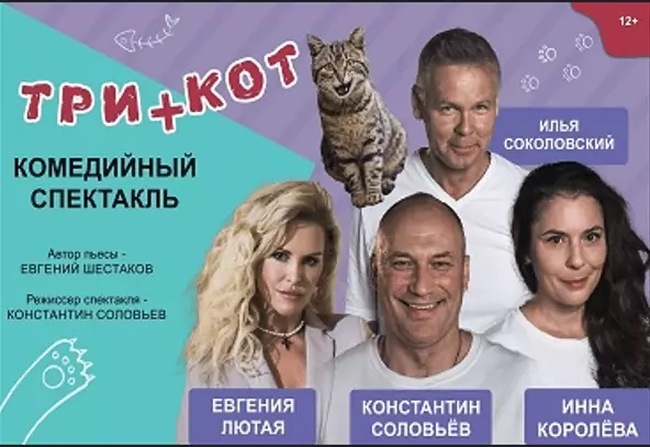 Три плюс кот