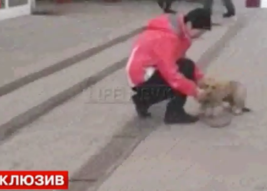 подари жене собаку