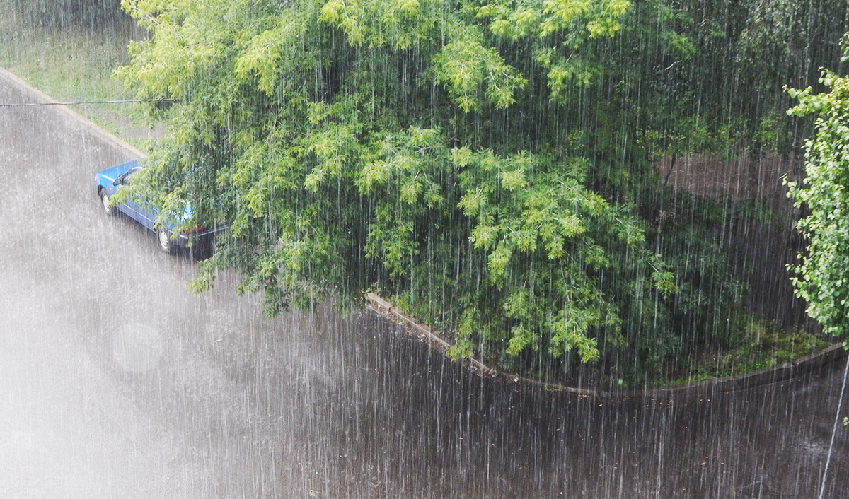 Был сильный ливень. Сильный дождь. Ливень. Сильный ливень. Проливной дождь.