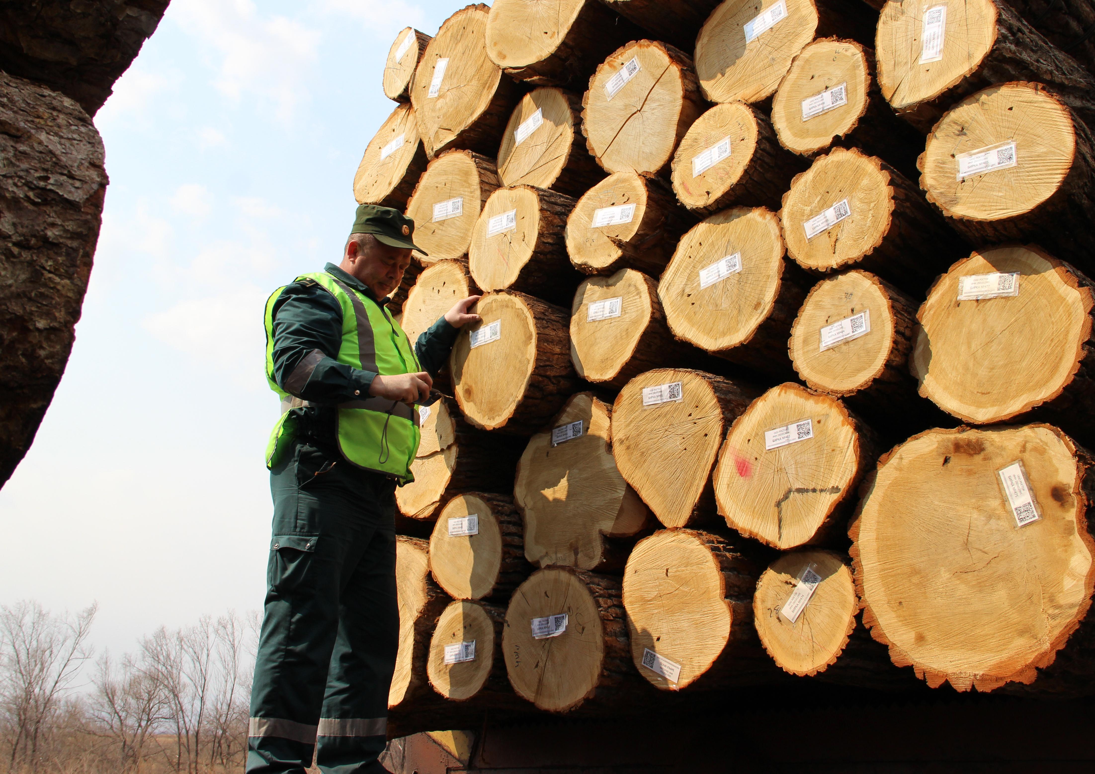 Дерево купить телефон. Контрабанду лес в Иркутск. Экспорт леса. Экспорт древесины. Контрабанда лесоматериалов.