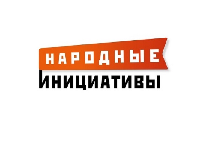 Народная инициатива проект