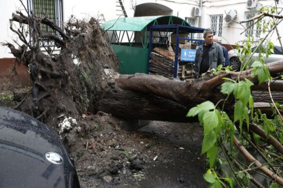 Ураган в москве последствия. Ураган в Москве 10 июля 2022. Ураган 1998. Смерч в Москве 1998. Ураган в Москве 10 июля.