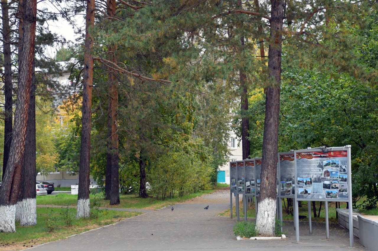 Жителям Саянска предлагают проголосовать за создание военно-патриотического  сквера - Общество - WEACOM.RU